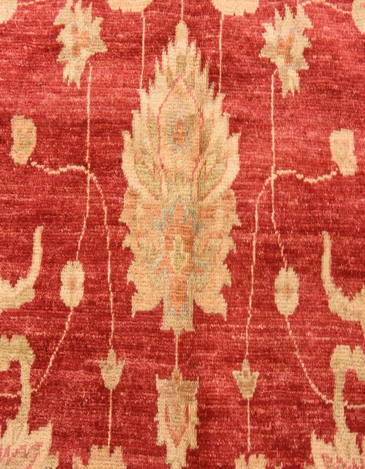 Detail image of  8' 3 x 11' 5  Hand Knotted Peshawar Ziegler Rug
