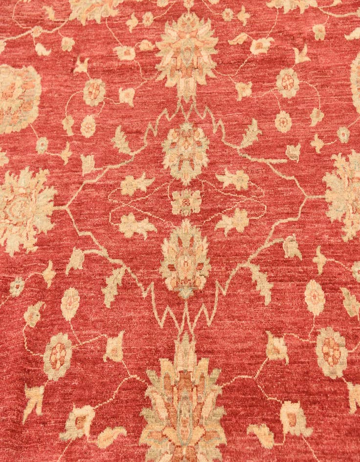 Detail image of  8' 7 x 9' 10  Hand Knotted Peshawar Ziegler Rug