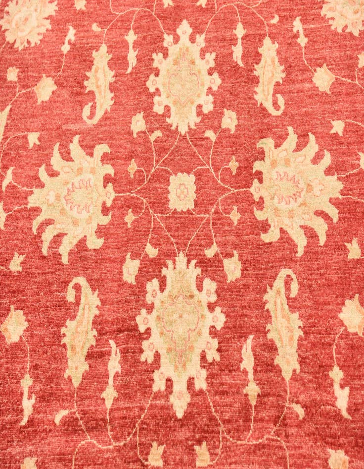 Detail image of  6' 10 x 9' 9  Hand Knotted Peshawar Ziegler Rug