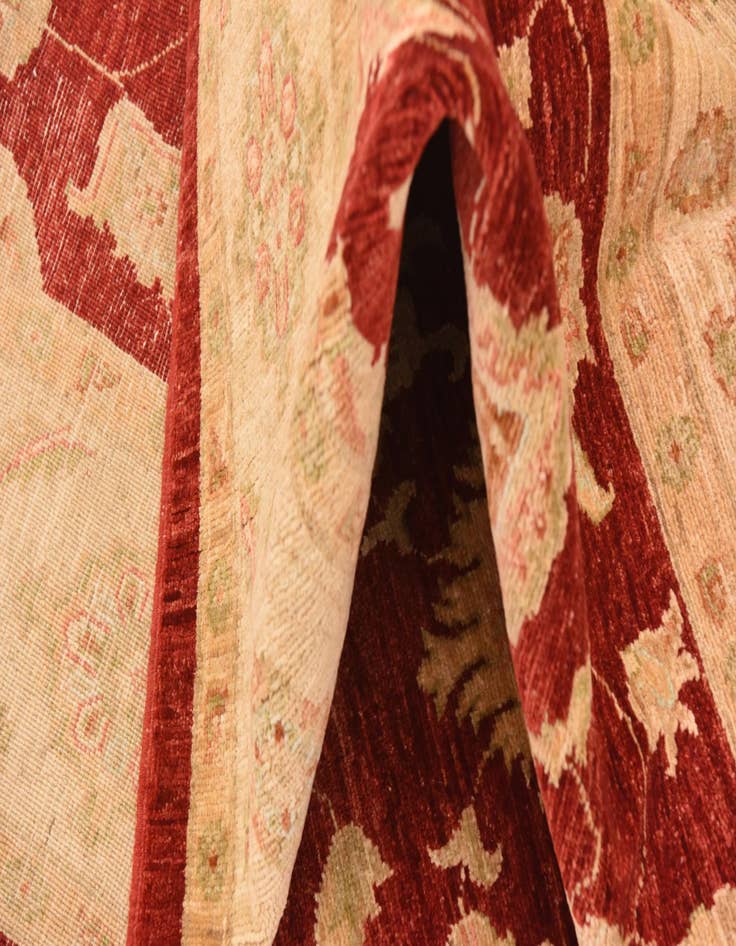 Detail image of  6' 6 x 9' 8  Hand Knotted Peshawar Ziegler Rug