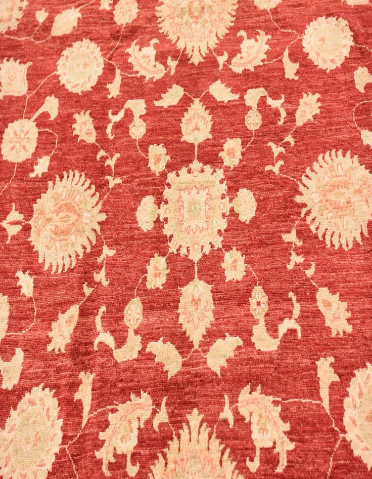 Detail image of  6' 6 x 9' 8  Hand Knotted Peshawar Ziegler Rug