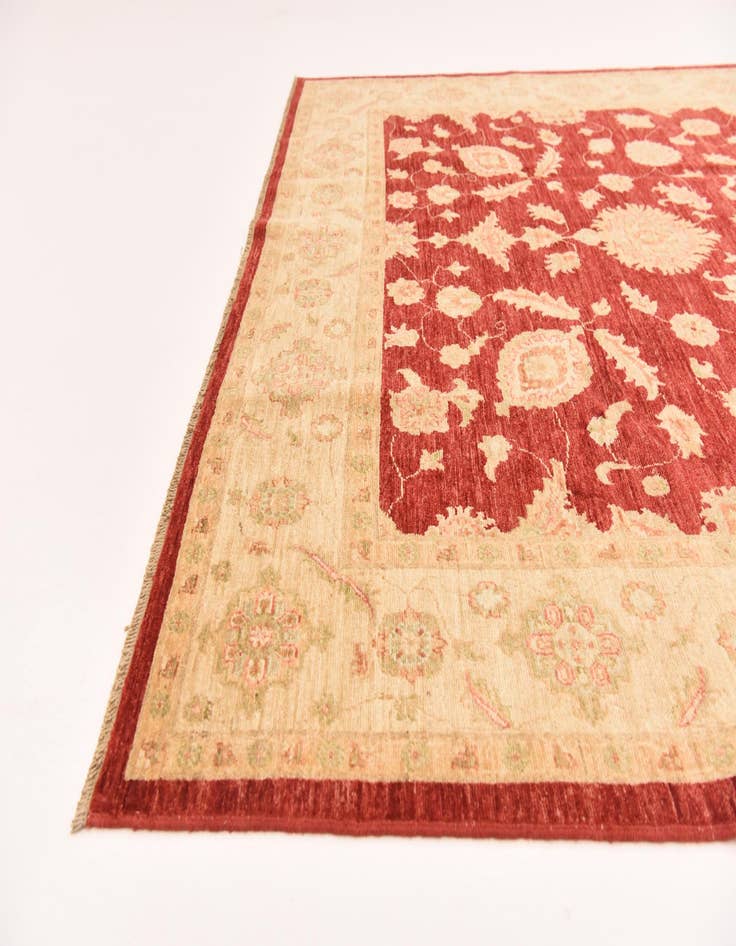 Detail image of  6' 6 x 9' 8  Hand Knotted Peshawar Ziegler Rug