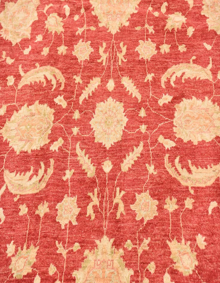 Detail image of  6' 6 x 9' 9  Hand Knotted Peshawar Ziegler Rug