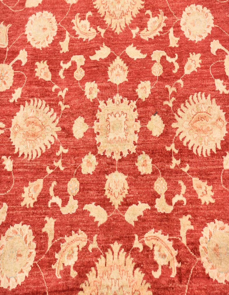 Detail image of  6' 8 x 9' 7  Hand Knotted Peshawar Ziegler Rug