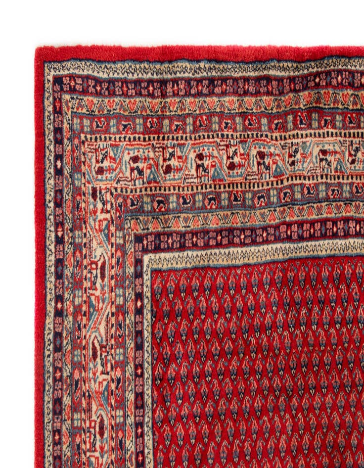 Detail image of  7' 11 x 11' 5  Hand Knotted Sarough Persian Wool Rug