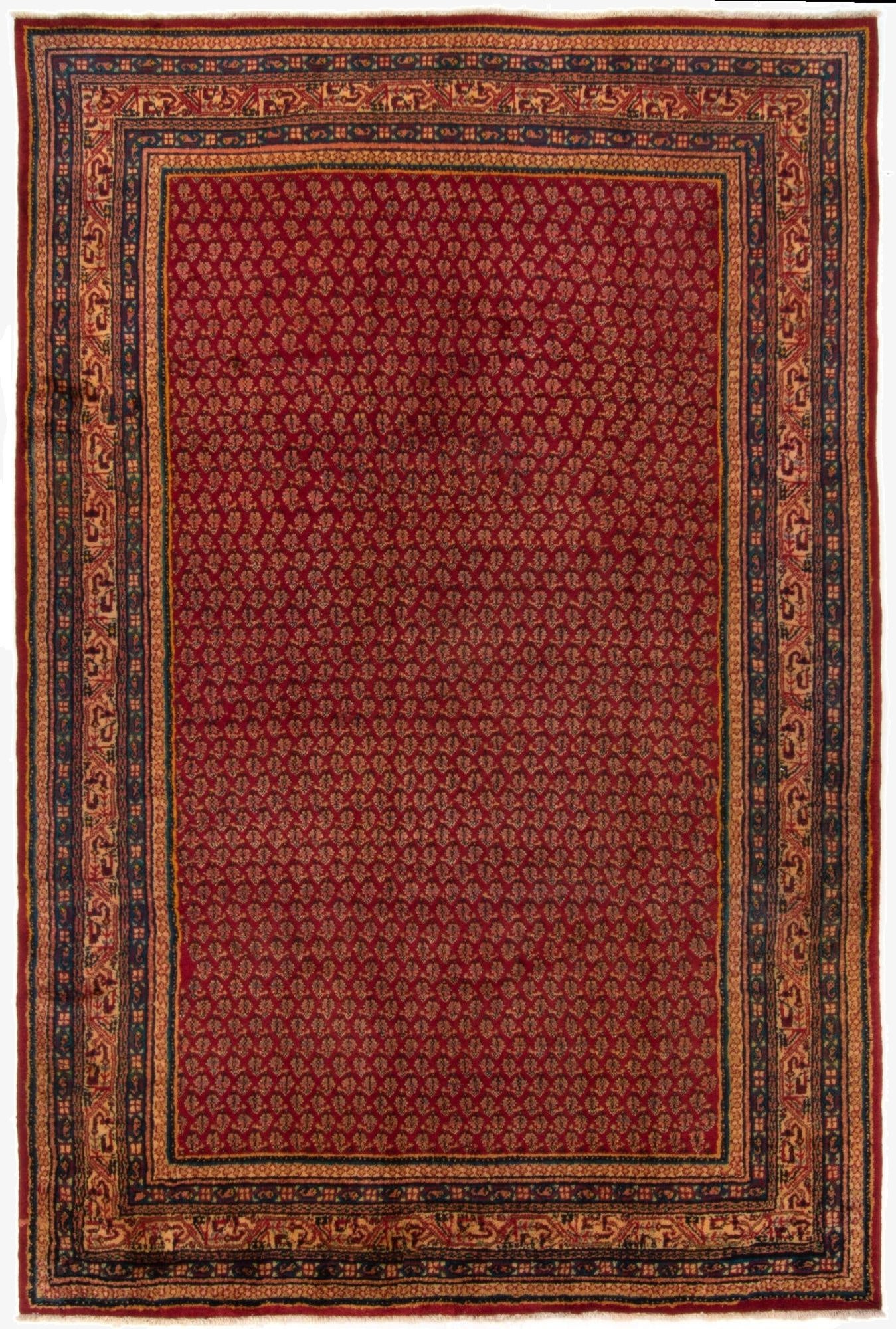  6' 11 x 10' 6  Hand Knotted Sarough Persian Wool Rug