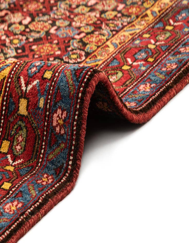 Detail image of  4' 6 x 10' Saudjboulag Rug