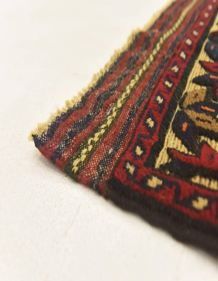 Detail image of  2' 9 x 4' 4  Hand Knotted Sumak Wool Rug