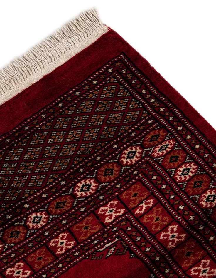 Detail image of  4' 3 x 6' 2  Hand Knotted Torkaman Persian Wool Rug