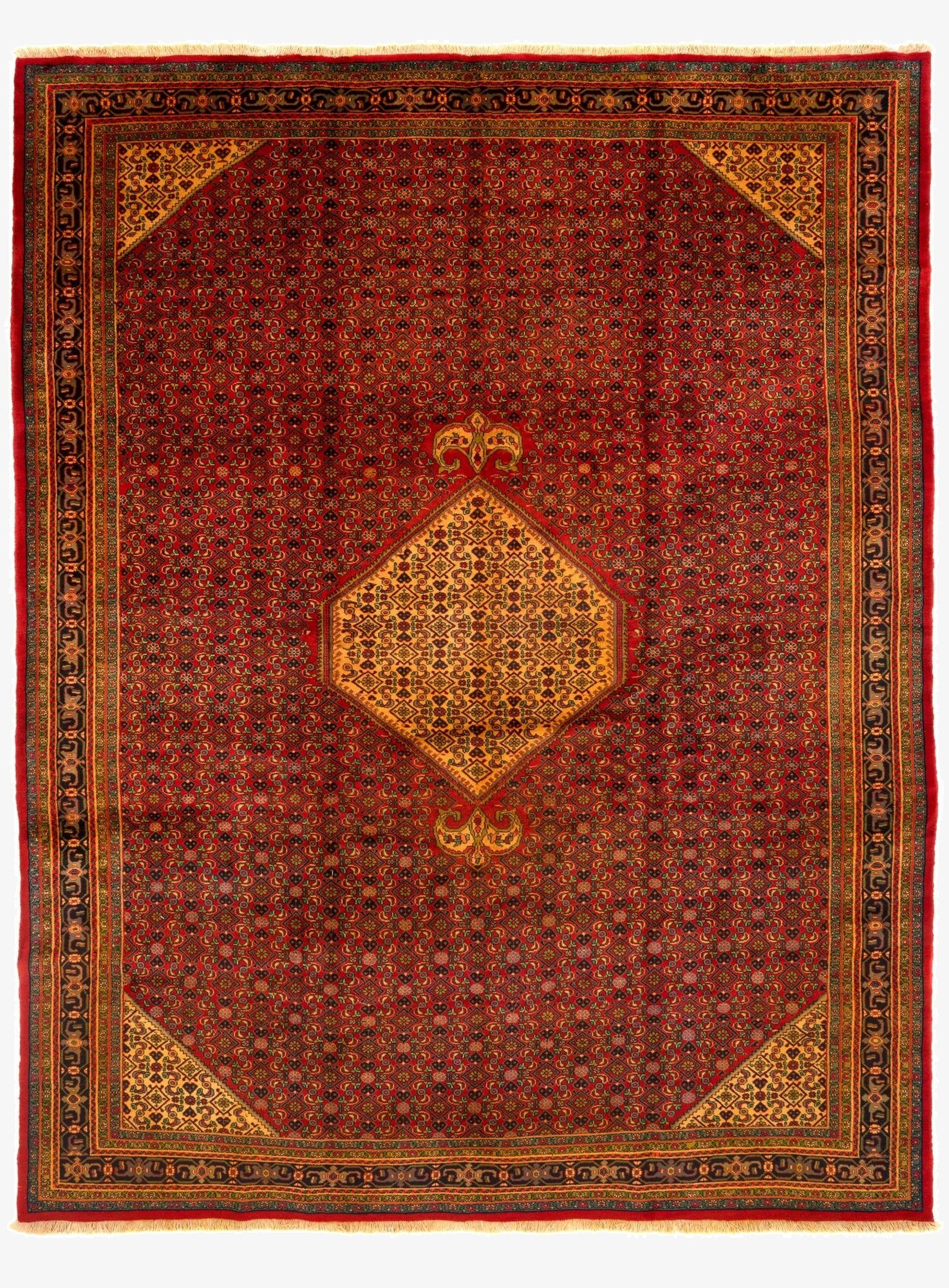  9' 10 x 12' 10  Hand Knotted Zanjan Persian Wool Rug