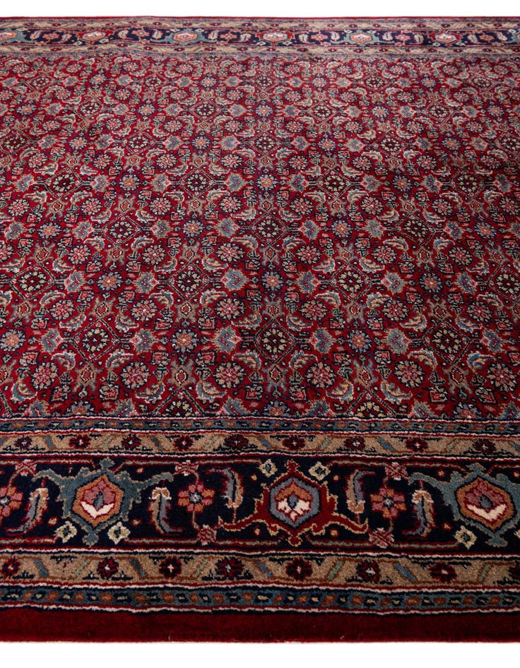 Detail image of  5' 6 x 10' 7 Bidjar Wool Runner Rug