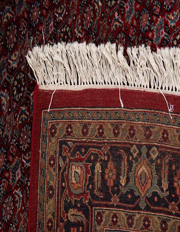 Detail image of  5' 6 x 10' 7 Bidjar Wool Runner Rug
