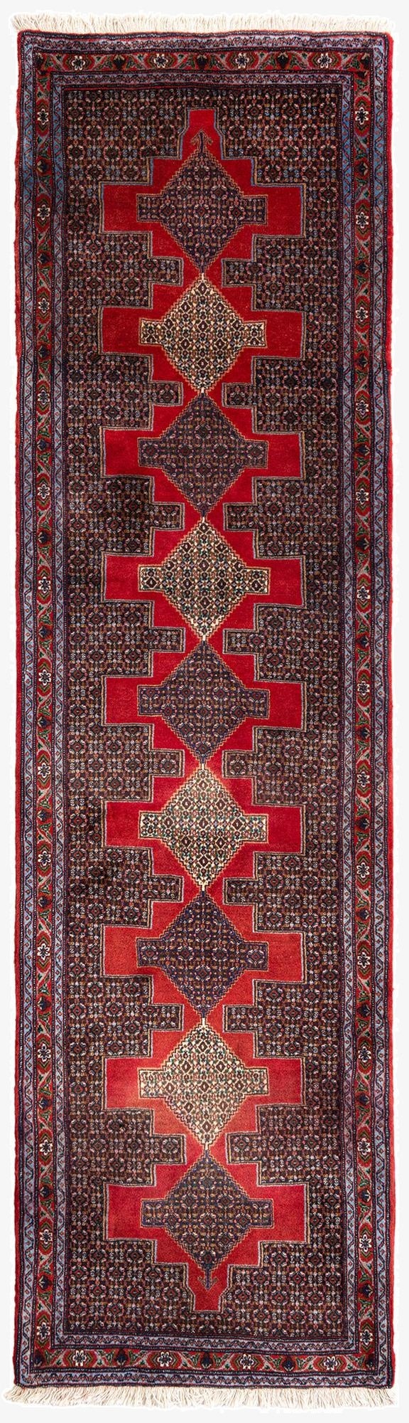  2' 10 x 10' 3 Birjend Wool Runner Rug