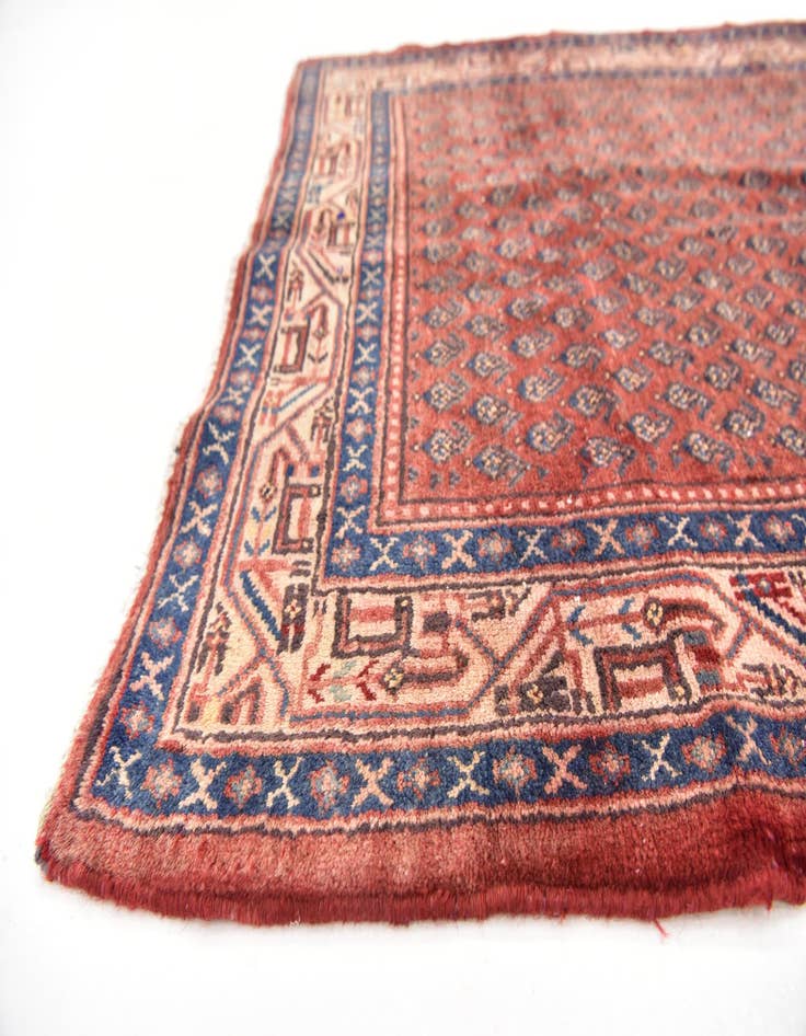 Detail image of  3' 9 x 10' 9  Hand Knotted Botemir Persian Wool Runner Rug