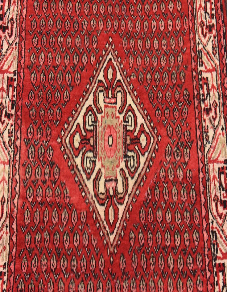 Detail image of  3' 6 x 9' 11  Hand Knotted Botemir Persian Wool Runner Rug