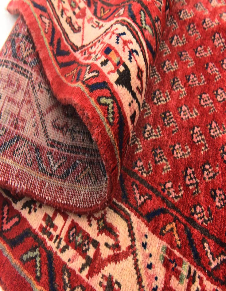 Detail image of  3' 7 x 10' 4  Hand Knotted Botemir Persian Wool Runner Rug