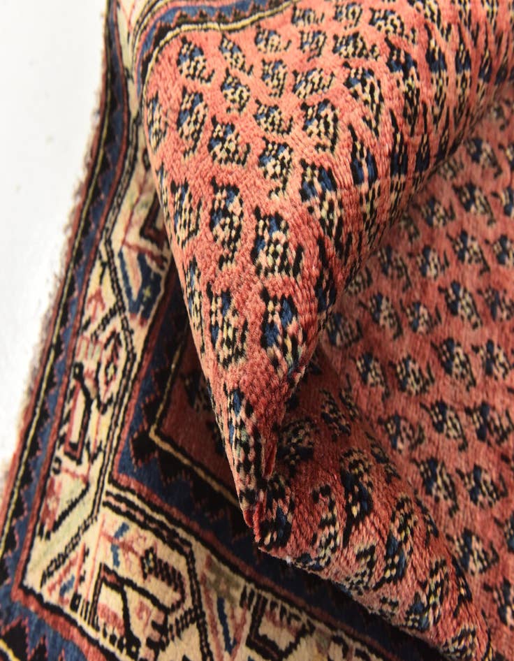 Detail image of 3' 6 x 10' 3 Hand Knotted Botemir Persian Wool Runner Rug