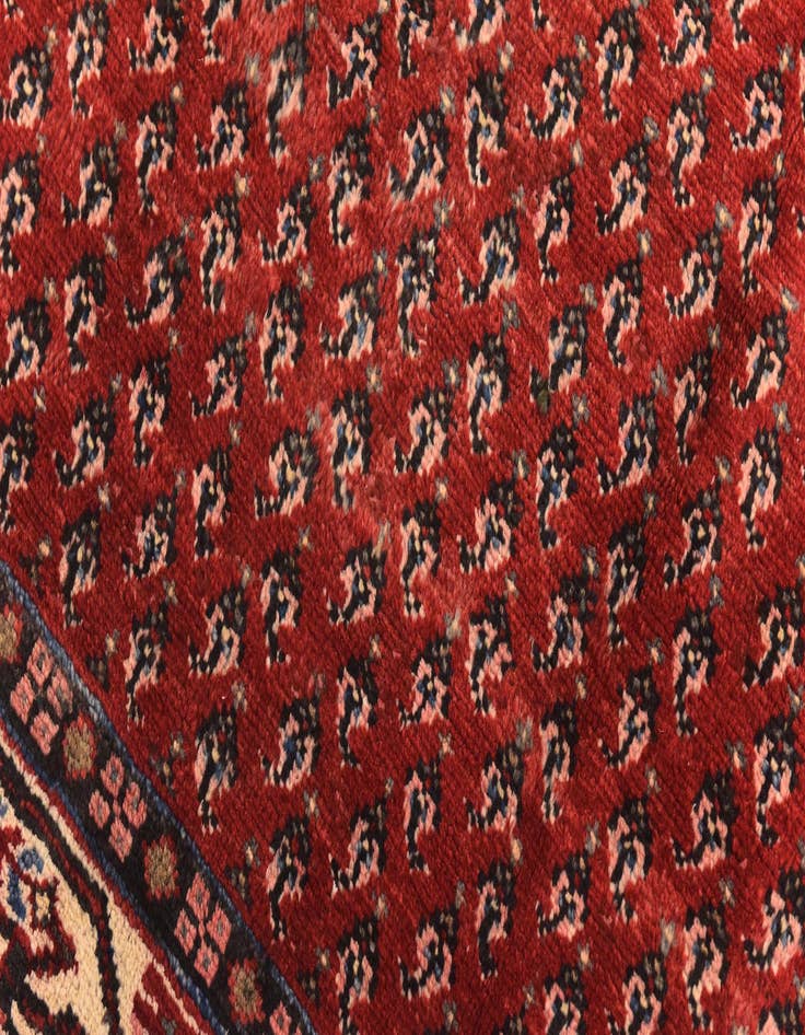 Detail image of  4' 3 x 10' 8  Hand Knotted Botemir Persian Wool Runner Rug