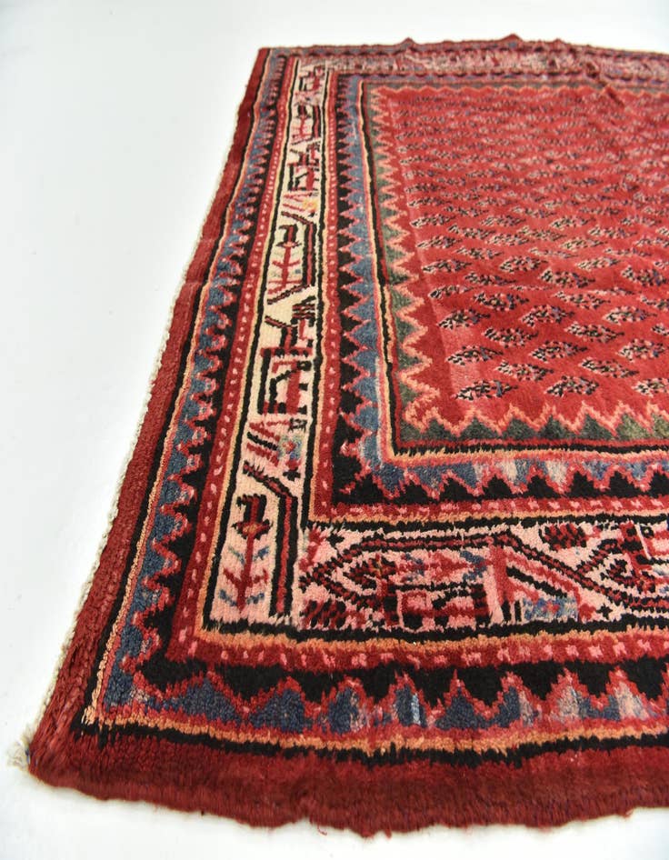 Detail image of  4' 7 x 9' 4  Hand Knotted Botemir Persian Wool Runner Rug