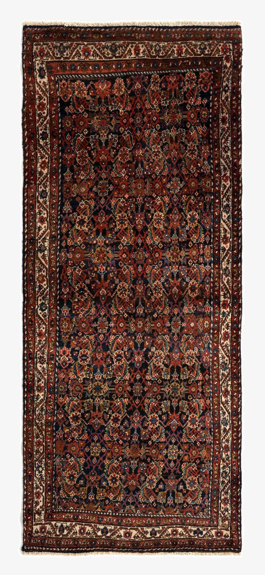  4' 1 x 10' Darjazin Wool Runner Rug