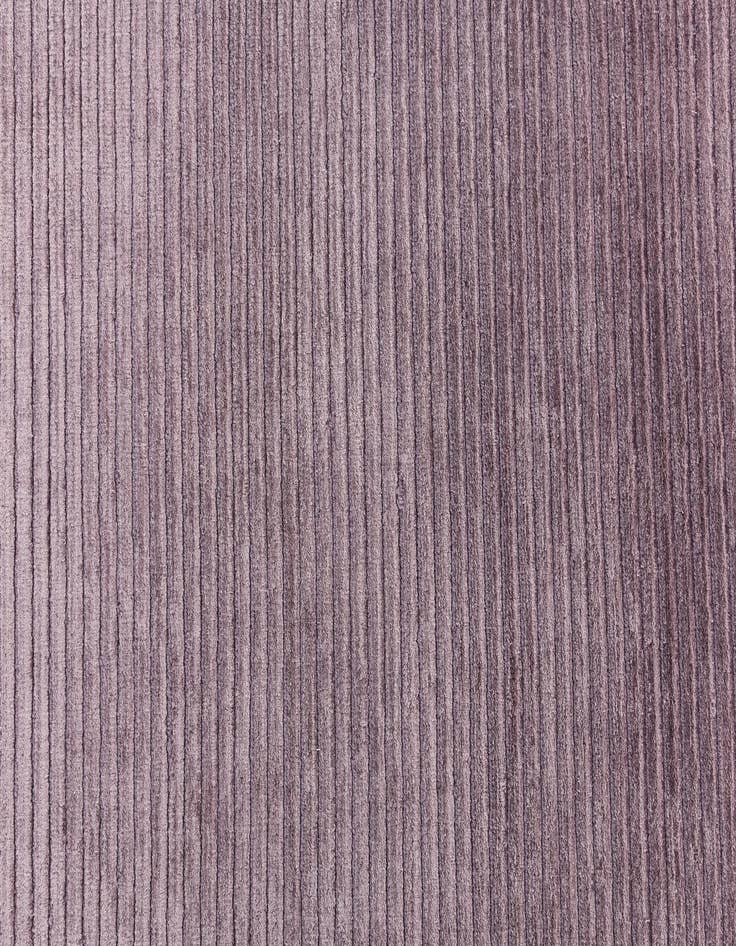 Detail image of  2' 7 x 13' 1 Darya Runner Rug