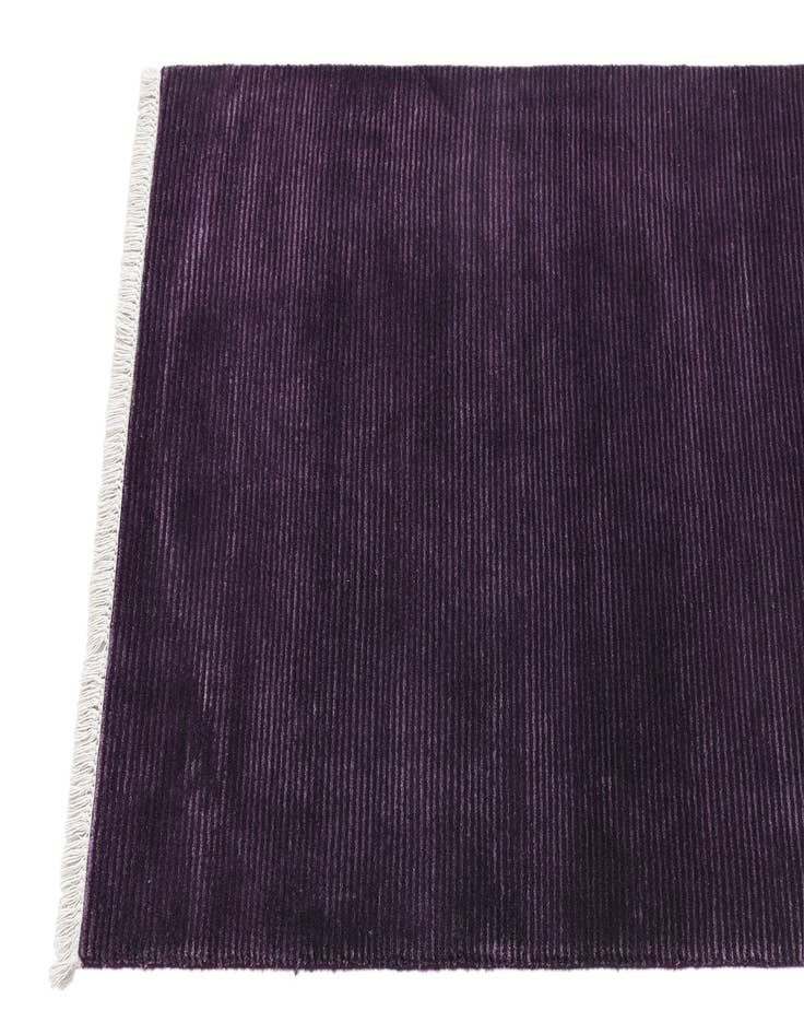 Detail image of  2' 8 x 13' 4 Darya Runner Rug