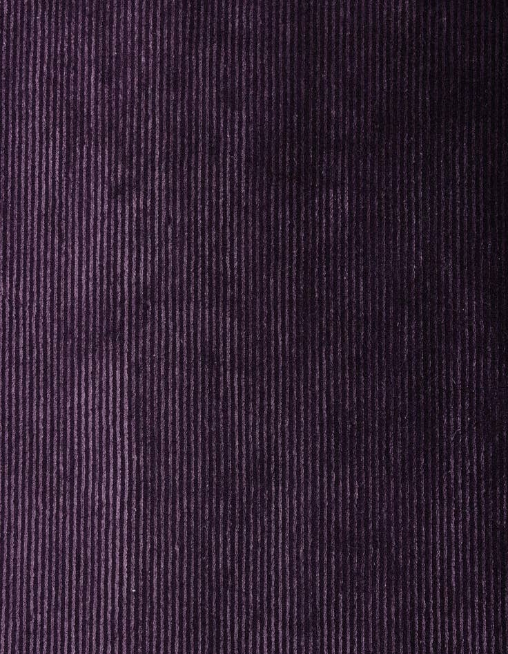 Detail image of  2' 8 x 13' 4 Darya Runner Rug