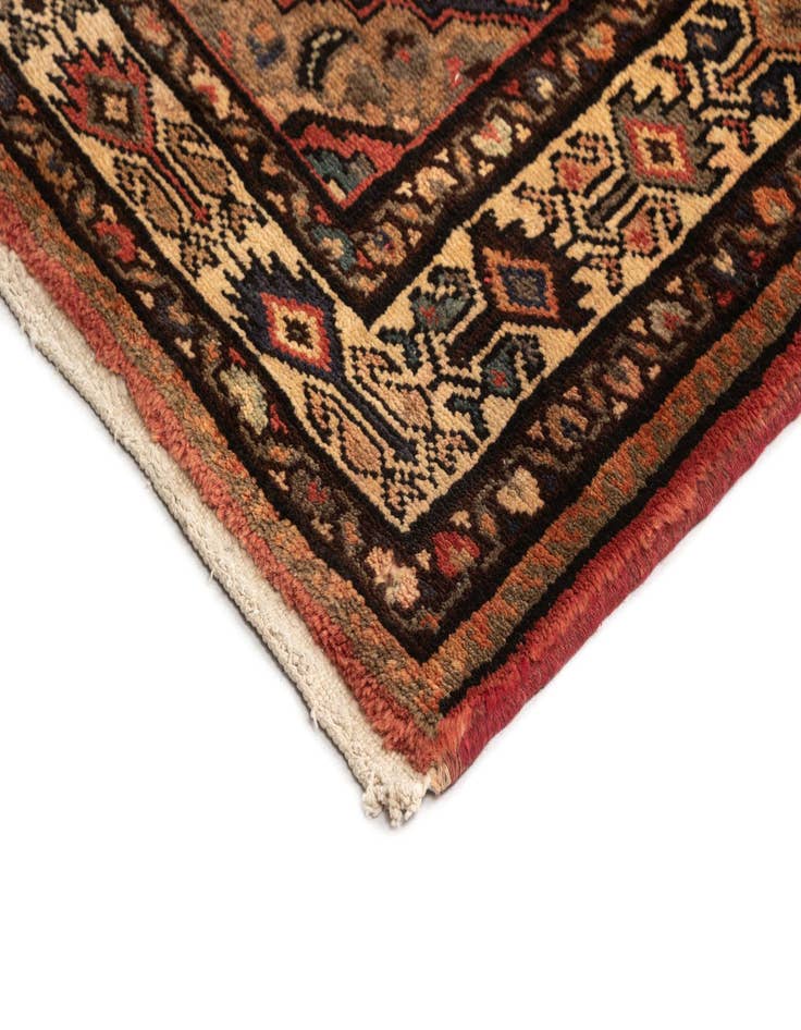 Detail image of  3' 5 x 12' 10 Hamedan Wool Runner Rug