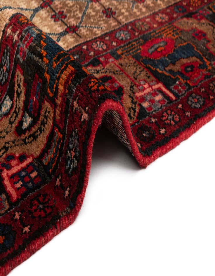 Detail image of  5' 4 x 14' 10 Hamedan Wool Runner Rug