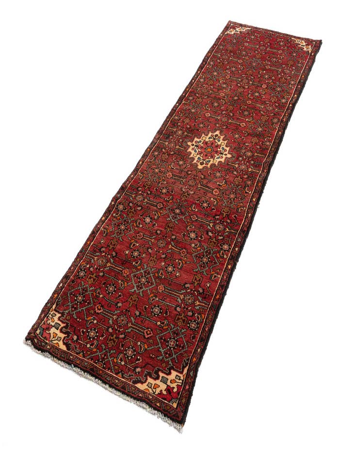 Detail image of  3' x 10' Hamedan Wool Runner Rug