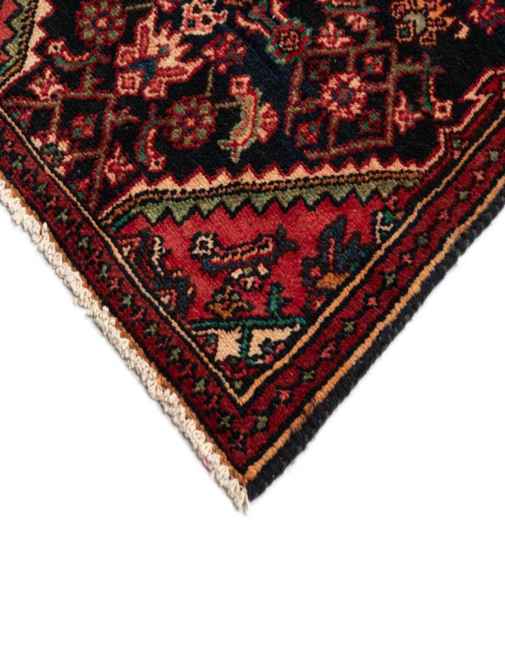 Detail image of  2' 7 x 9' 4 Hamedan Wool Runner Rug