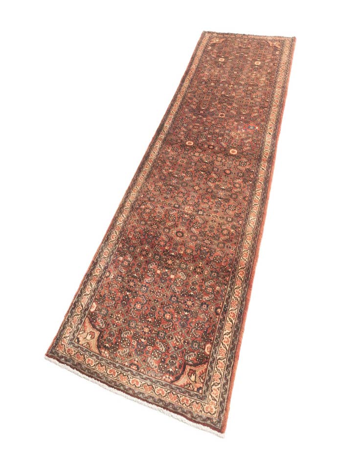 Detail image of  3' 10 x 9' 11 Hamedan Runner Rug
