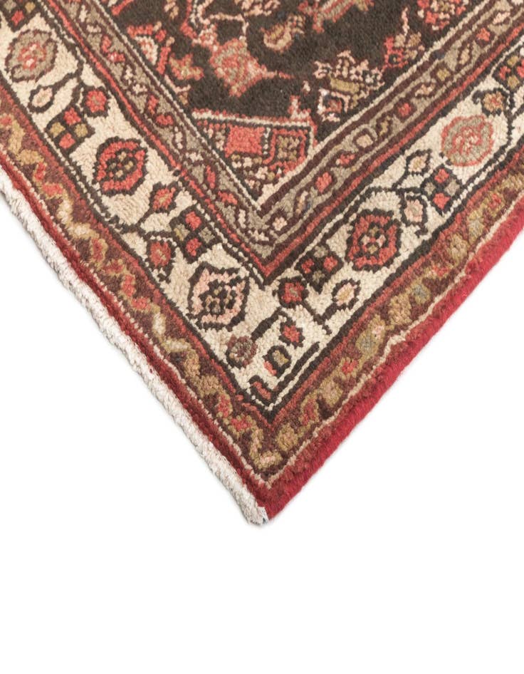 Detail image of  3' 3 x 9' 6 Hamedan Runner Rug