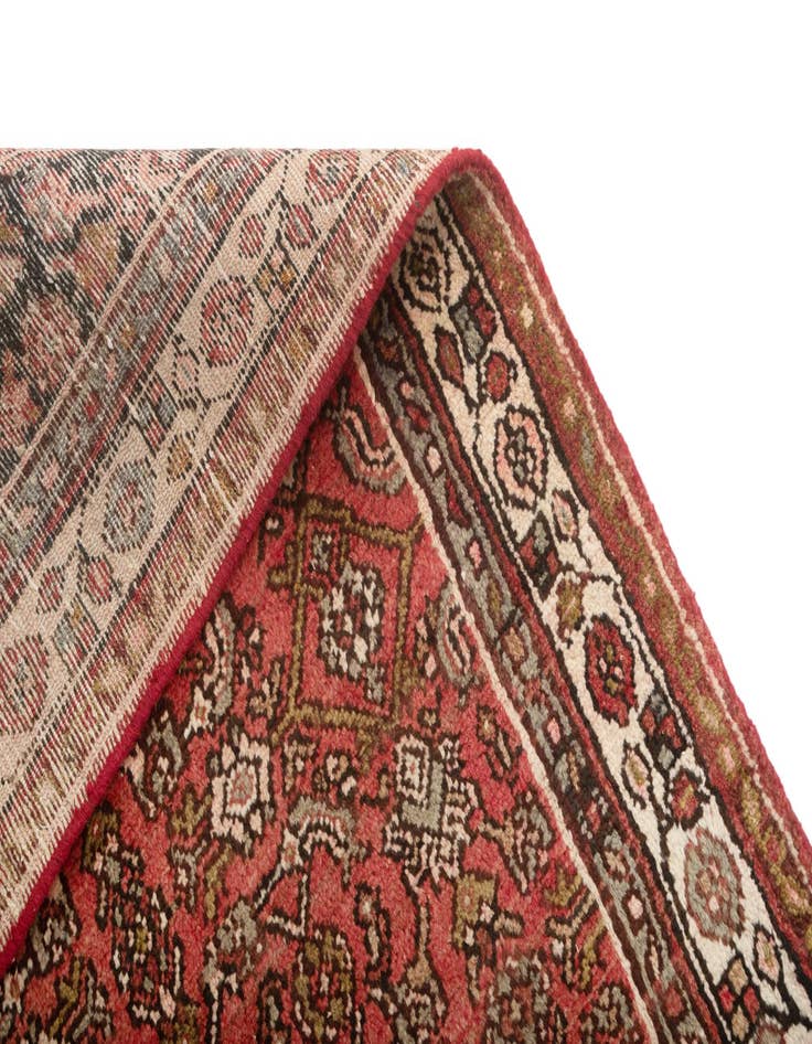 Detail image of  3' 3 x 9' 6 Hamedan Runner Rug