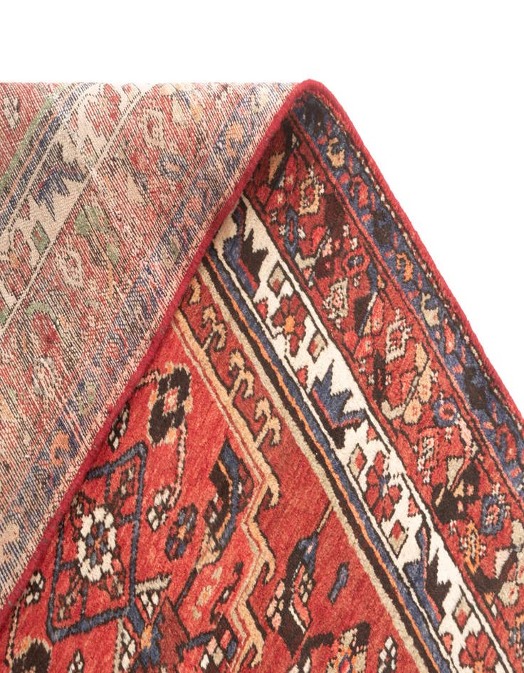 Detail image of  3' 3 x 10' 4 Hamedan Runner Rug