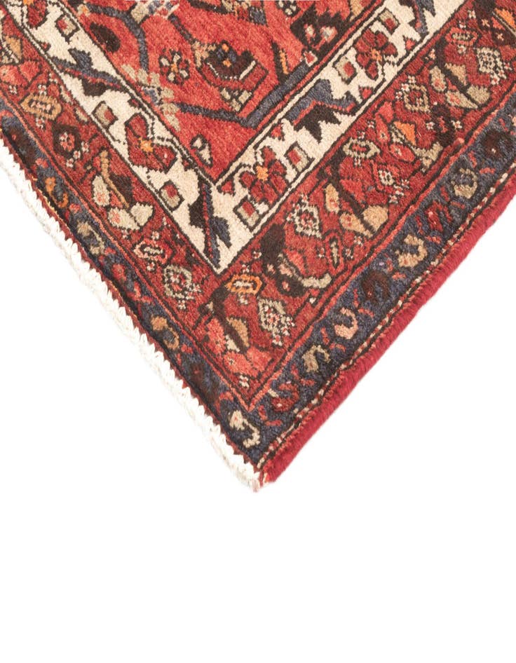 Detail image of  3' 3 x 10' 4 Hamedan Runner Rug