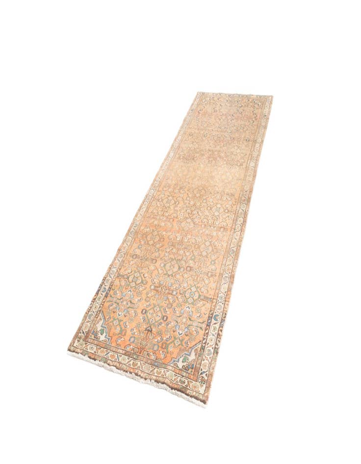 Detail image of  3' 6 x 10' Hamedan Runner Rug