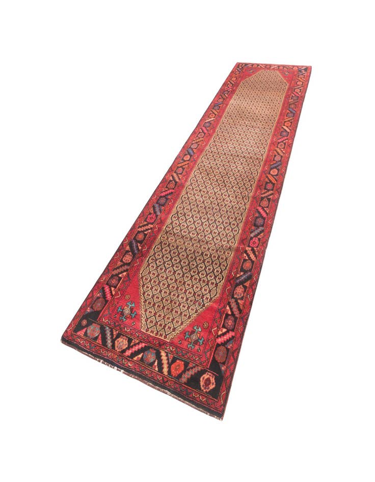 Detail image of  3' 6 x 13' 2 Hamedan Runner Rug