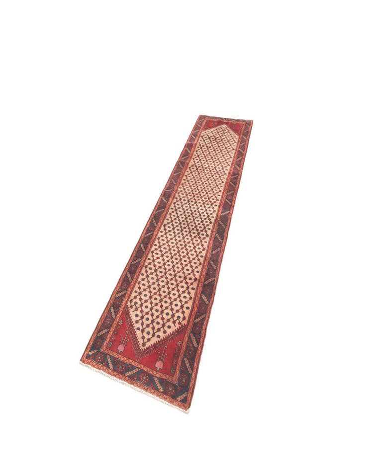 Detail image of  3' 1 x 11' 9 Hamedan Runner Rug