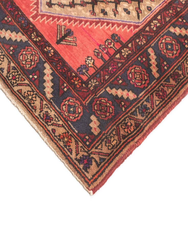 Detail image of  3' 3 x 12' 10 Hamedan Runner Rug