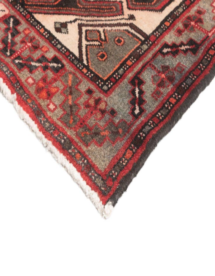 Detail image of  3' 3 x 9' 9 Hamedan Runner Rug