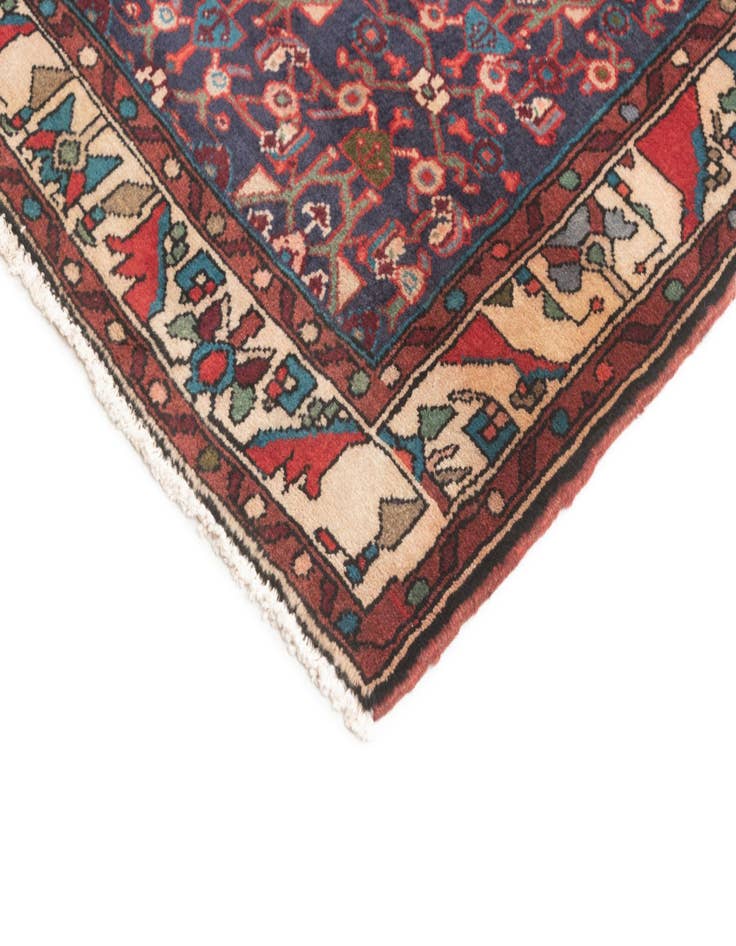 Detail image of  3' 3 x 9' 5 Hamedan Runner Rug
