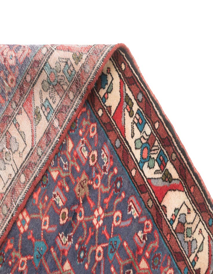 Detail image of  3' 3 x 9' 5 Hamedan Runner Rug