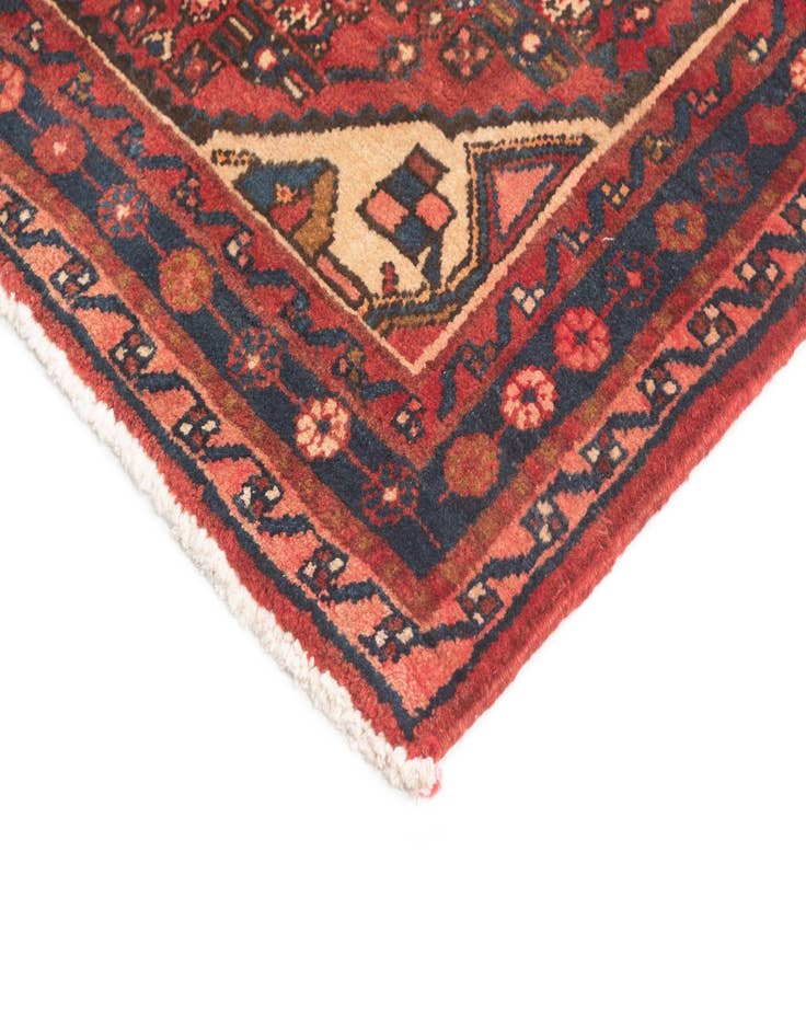 Detail image of  3' 7 x 10' 5 Hamedan Runner Rug