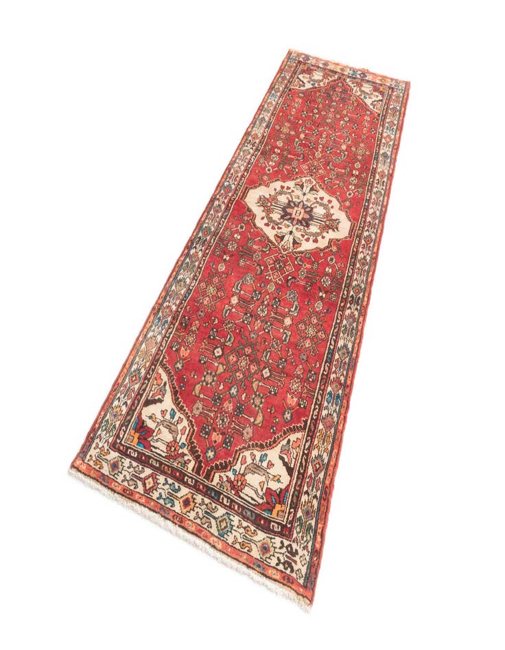 Detail image of  3' 3 x 9' 9 Hamedan Runner Rug