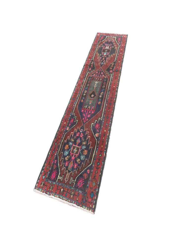 Detail image of  2' 8 x 9' 6 Hamedan Runner Rug