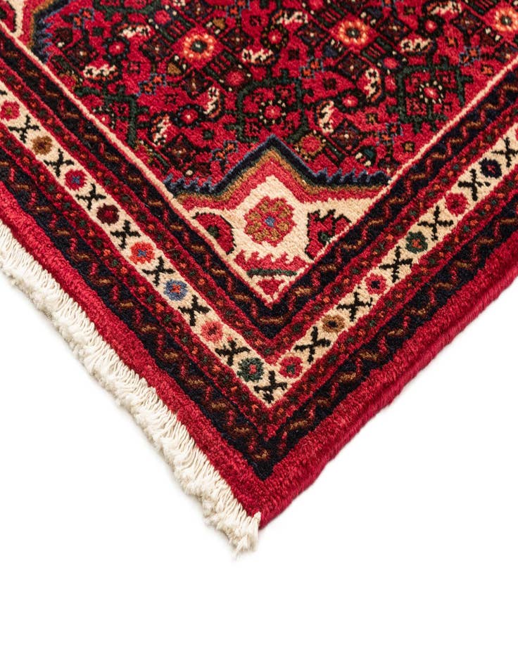 Detail image of  2' 7 x 9' 10 Hamedan Runner Rug