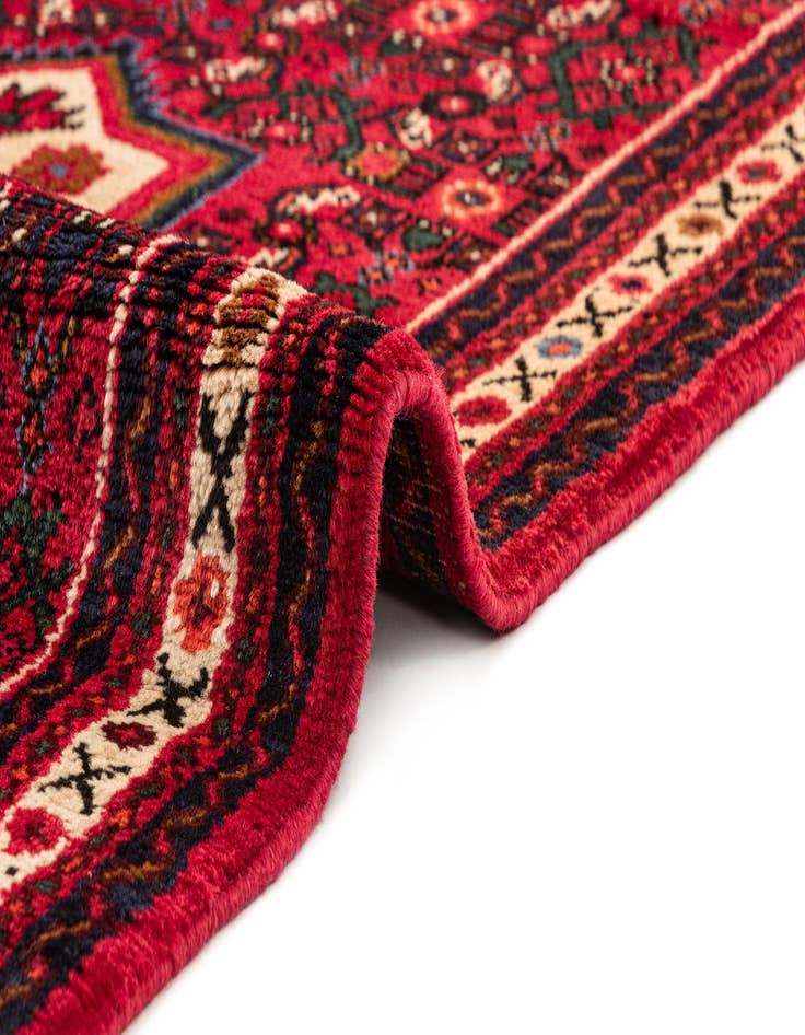 Detail image of  2' 7 x 9' 10 Hamedan Runner Rug