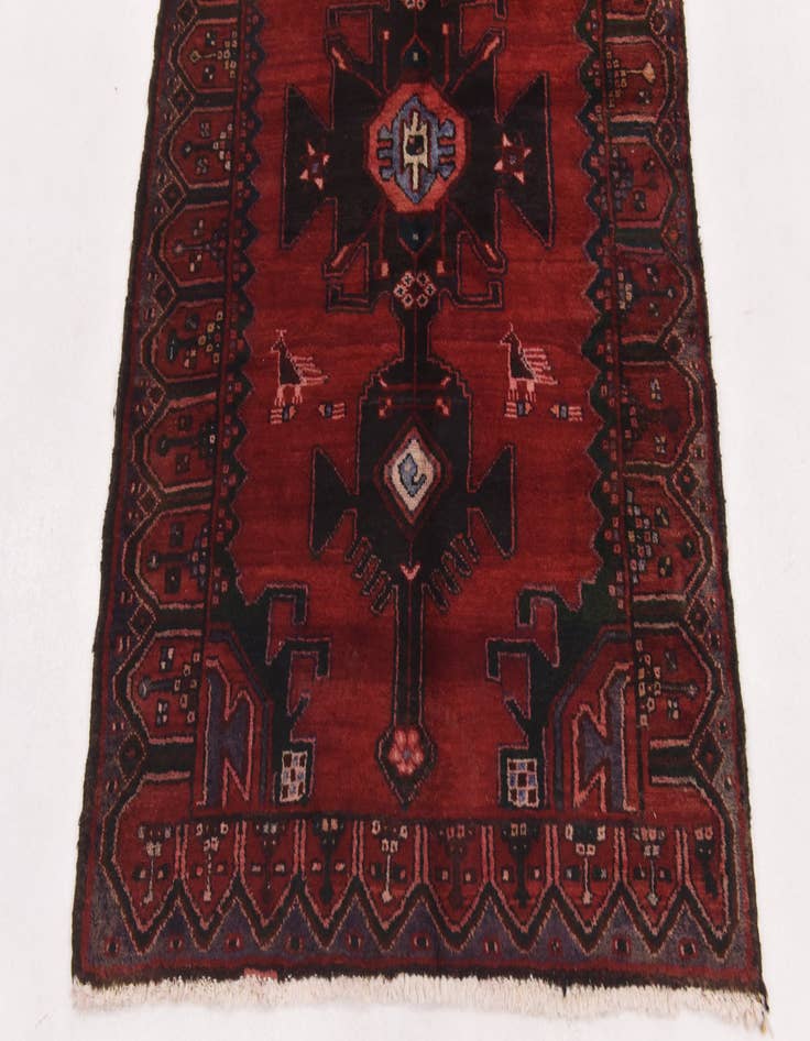 Detail image of  3' 7 x 9' 6  Hand Knotted Hamedan Persian Wool Runner Rug