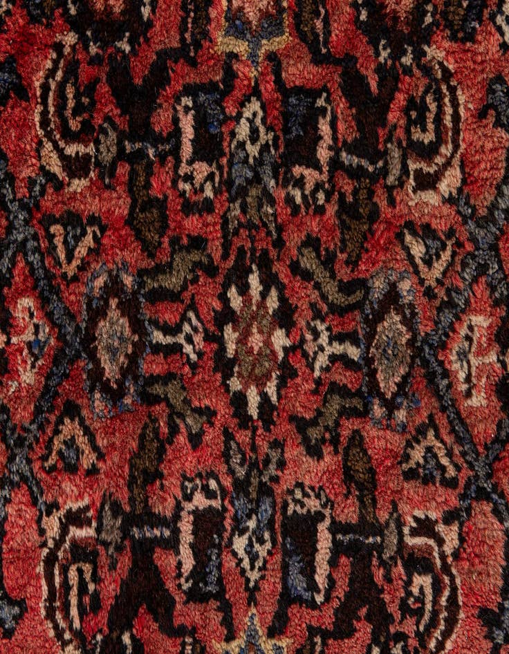 Detail image of 3' 5 x 9' 10 Hossainabad Wool Runner Rug